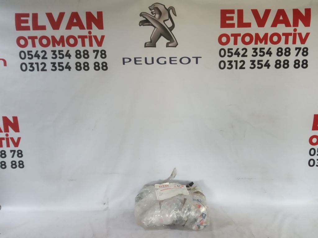 PEUGEOT 5008 KAPI TESİSATI 